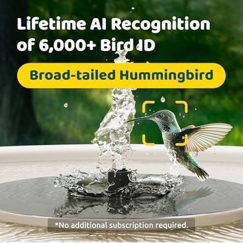 Birdfy Smart Bird Bath with Camera Solar Powered & Solar Fountain & Stand, Du... gallery