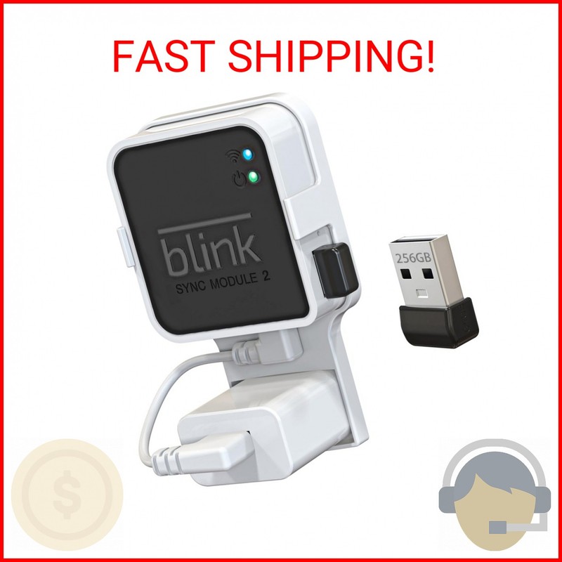 256GB USB Flash Drive with Outlet Wall Mount for Blink Sync Module 2, Space-Savi