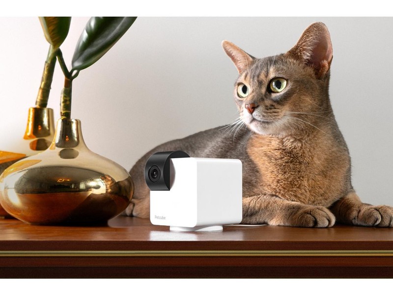 Petcube Cam, Interactive WiFi Pet and Home Security Camera | CC10US gallery