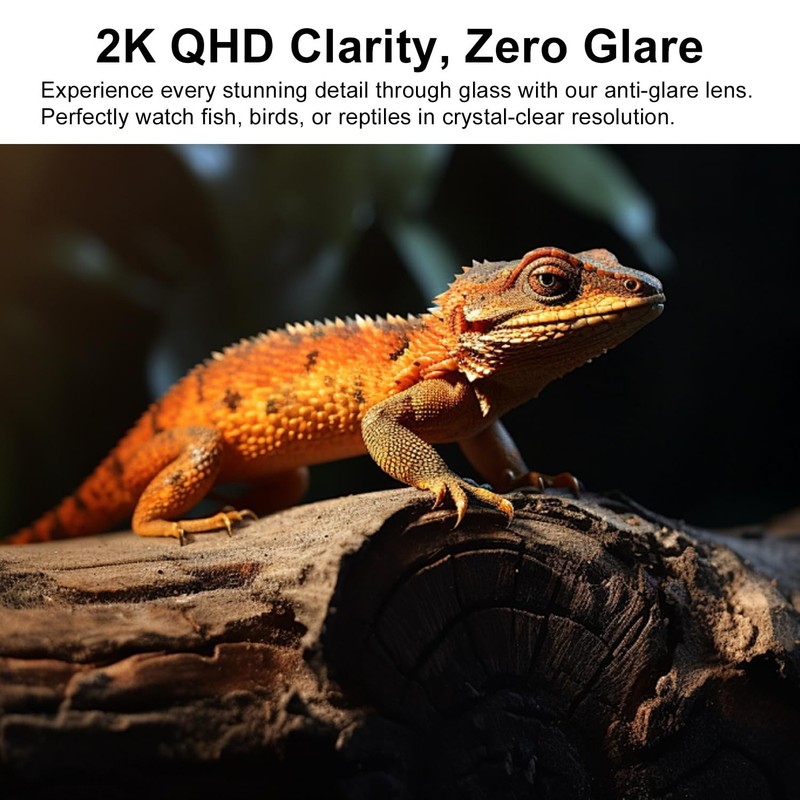 2K HD Aquarium Camera with Night Vision, Motion Alerts & 24/7 Recording for Pets gallery