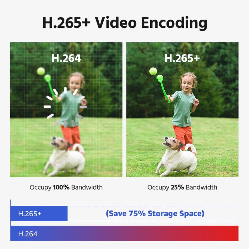 ANNKE 16CH NVR 4K POE 180° View Security Camera System Two Way Audio Color Night gallery
