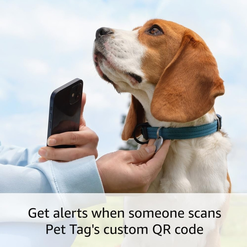 Indoor Cam (2Nd Gen), White with Pet Tag gallery