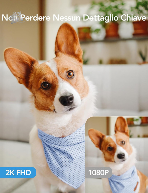 Indoor Wi-Fi Camera 2K Surveillance 360° Night Vision Audio Dogs Child gallery