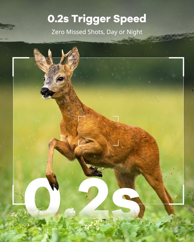Solar 4G Wildlife Hunting Trail Camera Full HD Night Vision Motion Waterproof gallery