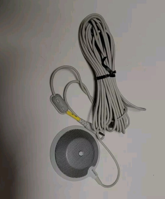 Sony IPELA