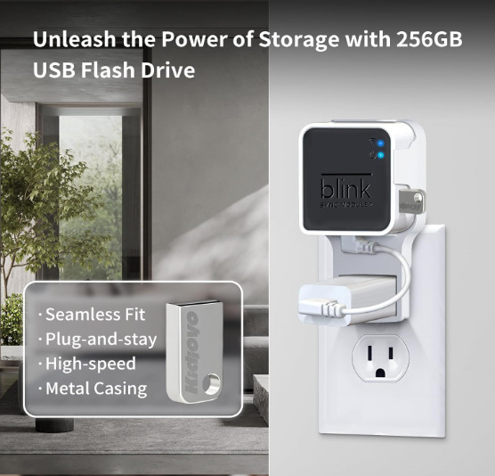 256GB USB Flash Drive and Outlet Wall Mount for Blink Sync Module 2 save Space gallery