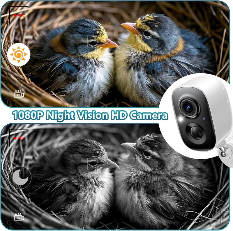 Smart Bird House with Camera, 1080P HD Birdhouse with Camera Inside gallery