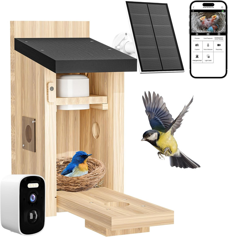 Bird Houses Camera, 5Mp Solar Bird House with Camera, 2.4G Wifi Live View, Night