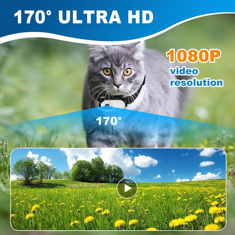 1080P Cat Camera Collar - Wireless Mini Sport Cam with Video Recording, Small Ac gallery
