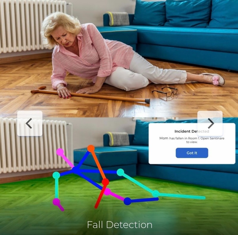 AltumView Elderly Care Monitor with Privecy Preserving Software
