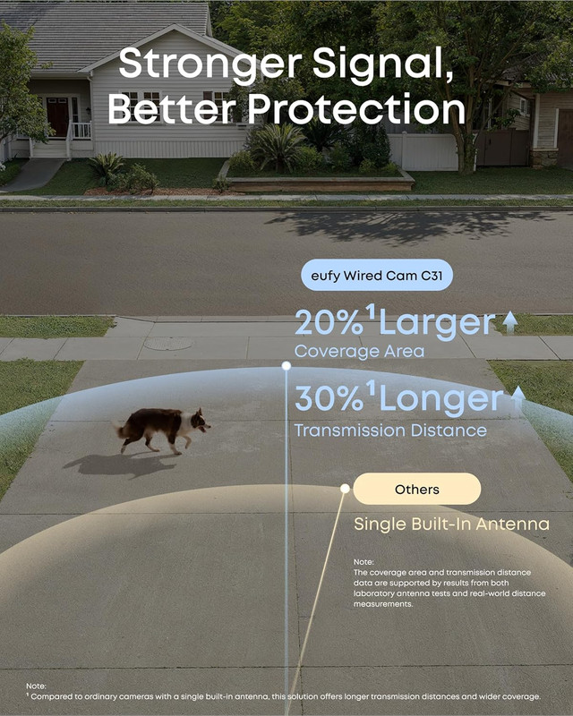 Wired Cam C31, 360° Coverage with Pan and Tilt, Indoor and Outdoor, Dual Antenna gallery