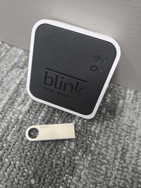 Blink Mini with Sync module and Cords gallery
