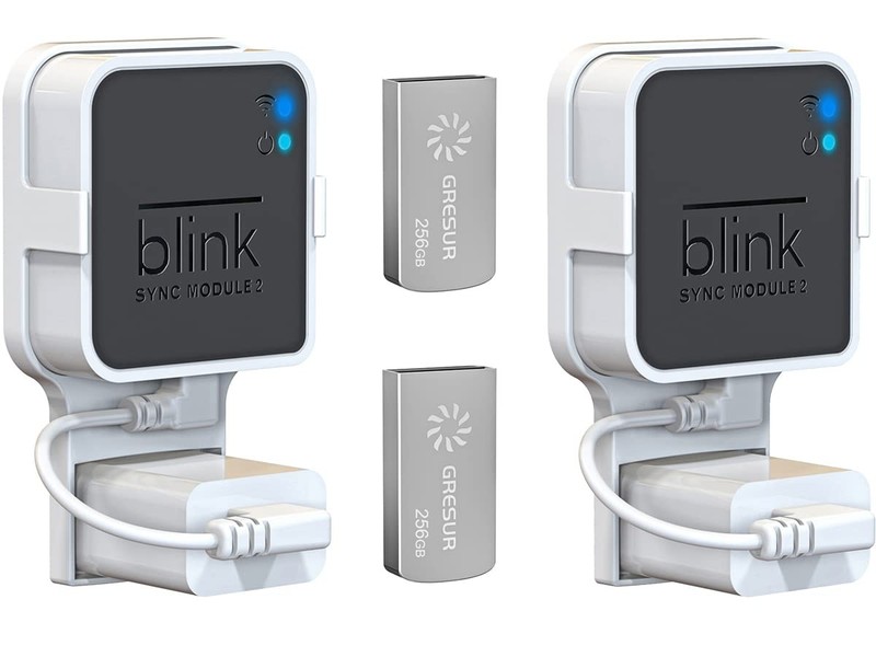 256GB USB Flash Drive for Local Video Storage with The Blink Sync Module 2 Mo…