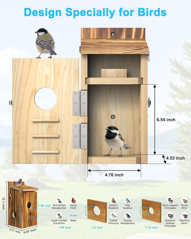 Bird House with Camera Solar Powered,2K HD Wi-Fi Bird Watching, Auto Detect&Noti gallery