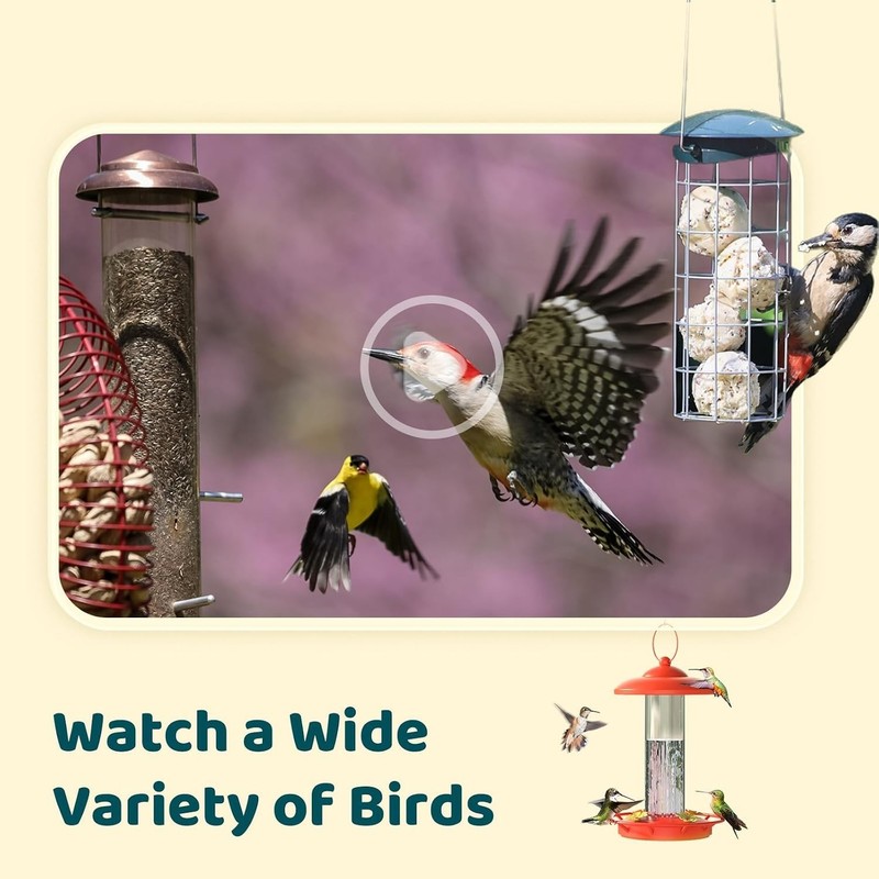 Netvue NI-8202 Birdfly Cam FHD Camera 1080p White For Bird Watching id 6k specie gallery
