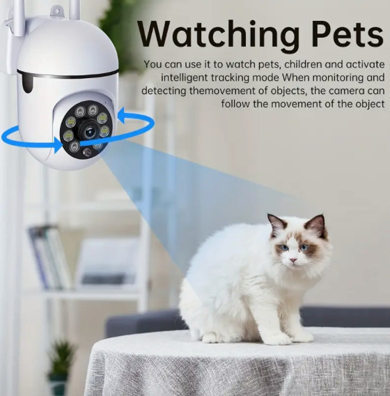 camera security gallery