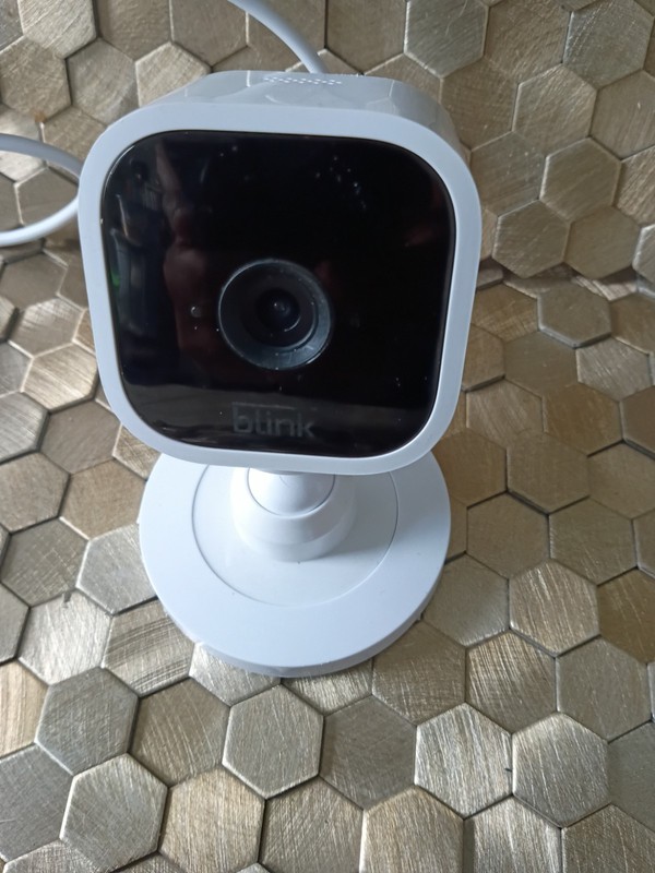 Blink Mini Pan-Tilt Camera - White#3 gallery