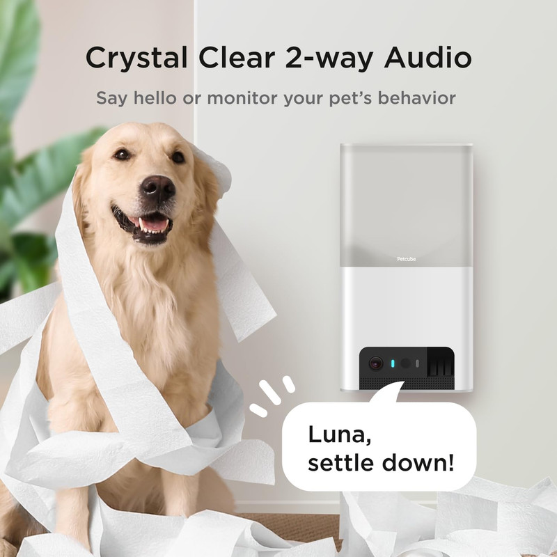 Bites 2 Lite Interactive Wifi Pet Monitoring Camera with Phone App and Treat Dis gallery