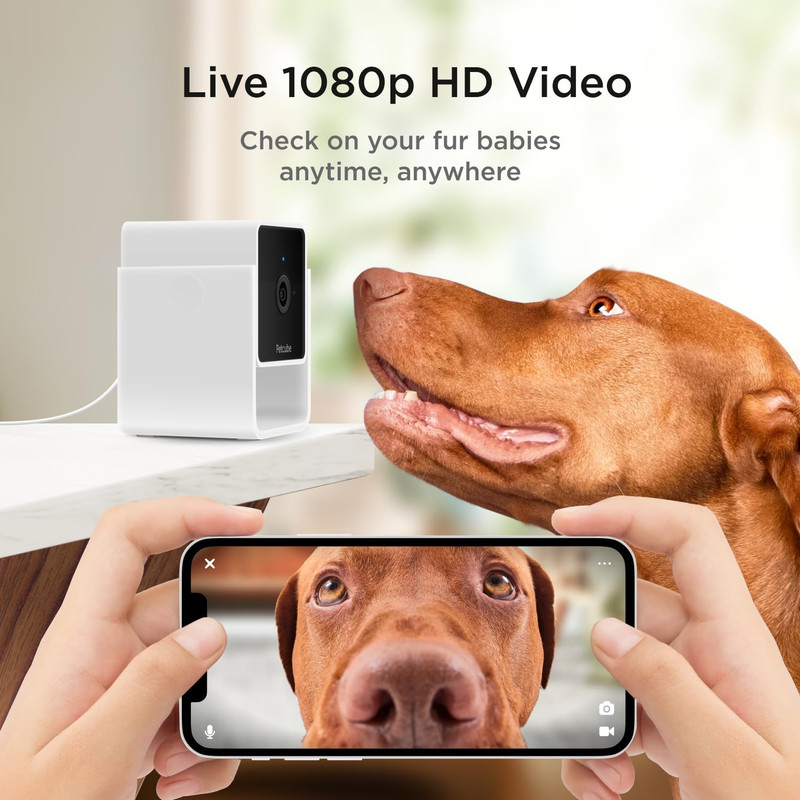 Cam the Pack of 2 | Indoor Wi-Fi Pet Security Camera with Phone App, 2-Way Audio gallery