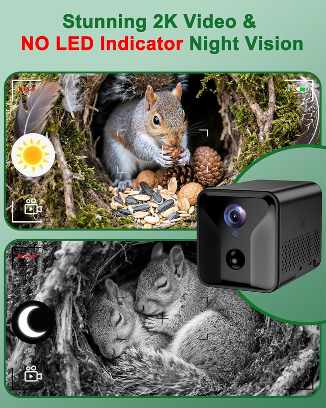 Smart Squirrel Box with Camera,Predator-Proof,2K HD Wi-Fi Pet Watching Cam for S gallery