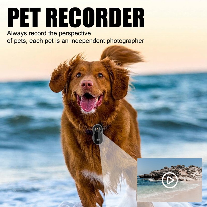 HD 1080P Mini Pet Camera Collar 32GB TF Card Loop Recording for Dogs Cat US gallery