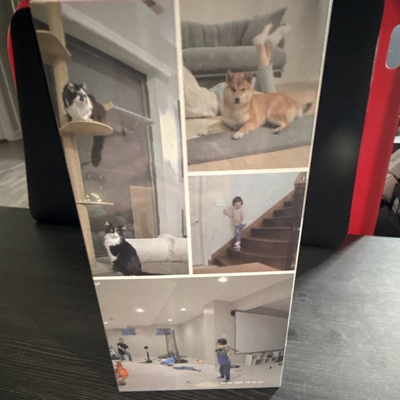 Sensforge Indoor Pan-Tilt Smart Security Camera - Ai Detection, Night Vision gallery