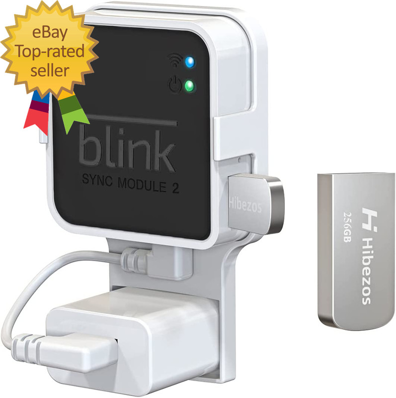 256GB USB Flash Drive and Outlet Mount for Blink Sync Module 2 save Space and E