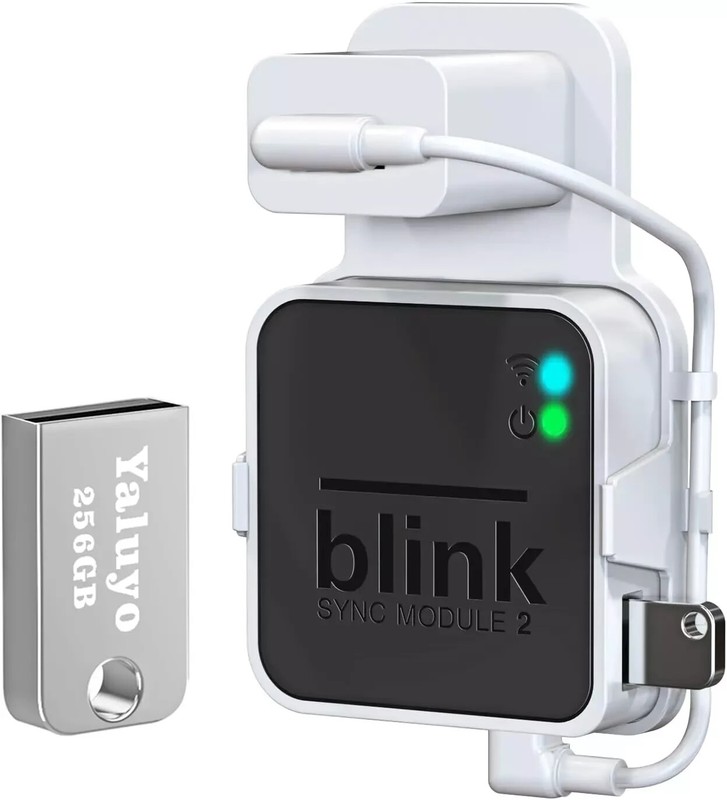 Blink Sync Module 2 Wall Mount & 256GB USB Flash Drive for Local Video Storage