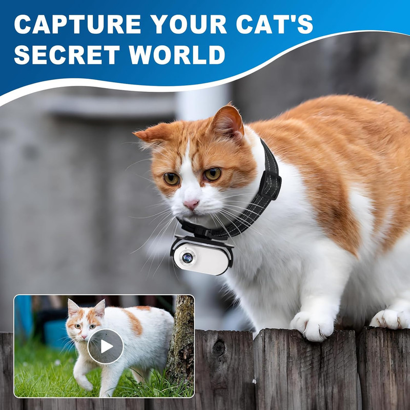 1080P Cat Camera Collar - Wireless Mini Sport Cam with Video Recording, Small Ac gallery