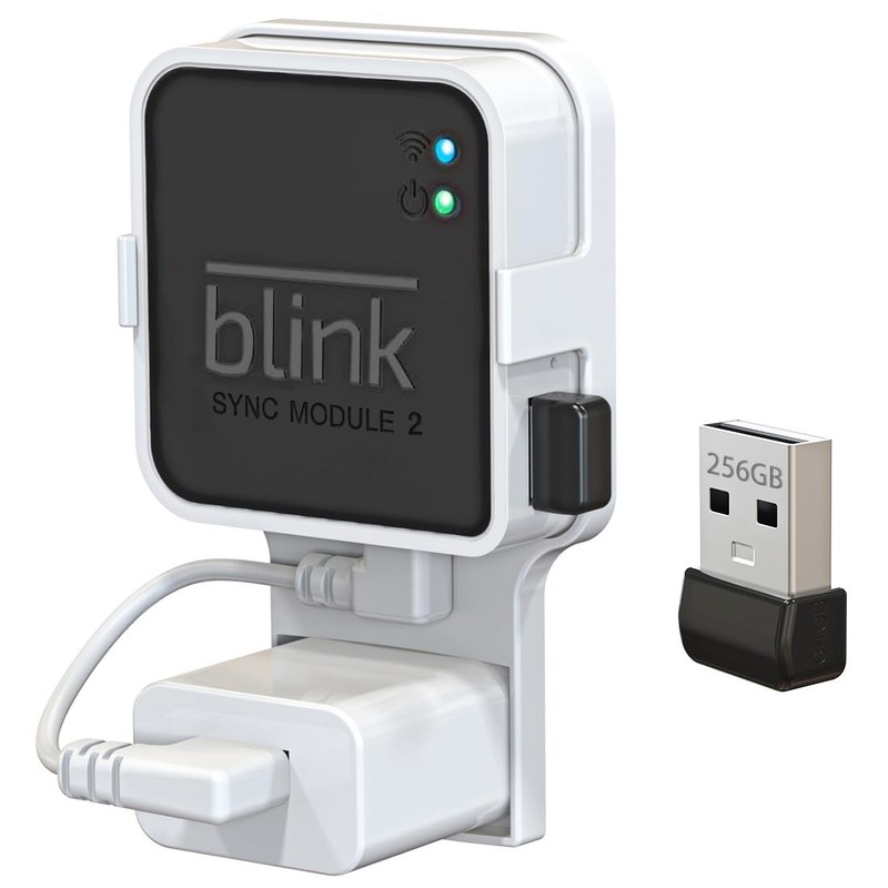 256GB Blink USB Flash Drive, with Outlet Wall Mount for Sync Module, Space-Savi
