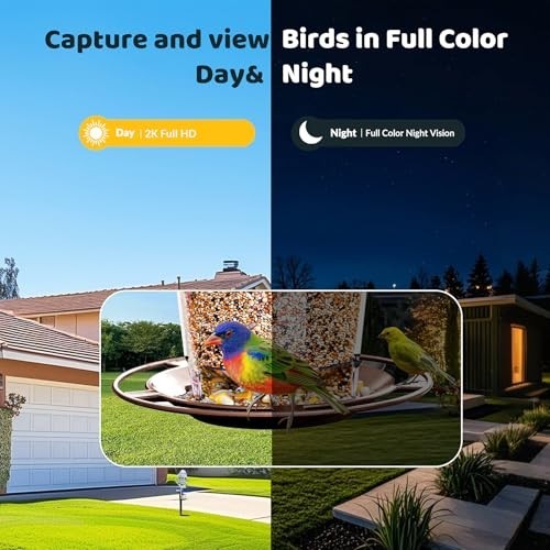 Solar Bird Watching Camera with AI Identification, 2K HD Live View & Alerts - Pe gallery