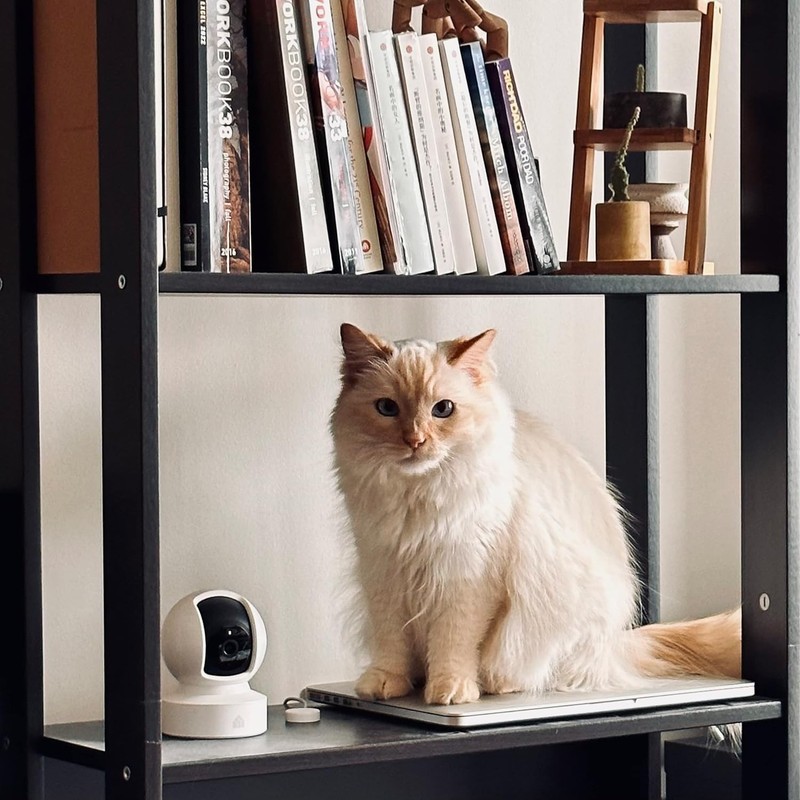 Kasa 1080p Indoor Pan/Tilt Wired Security Camera - Works as a Baby & Pet Moniter gallery