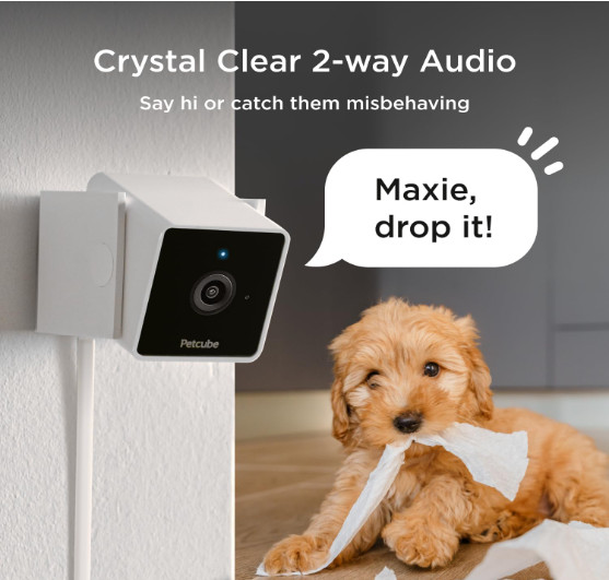 Cámaras interiores WiFi (3 pack) con video 1080P, alertas y audio 2 vías gallery