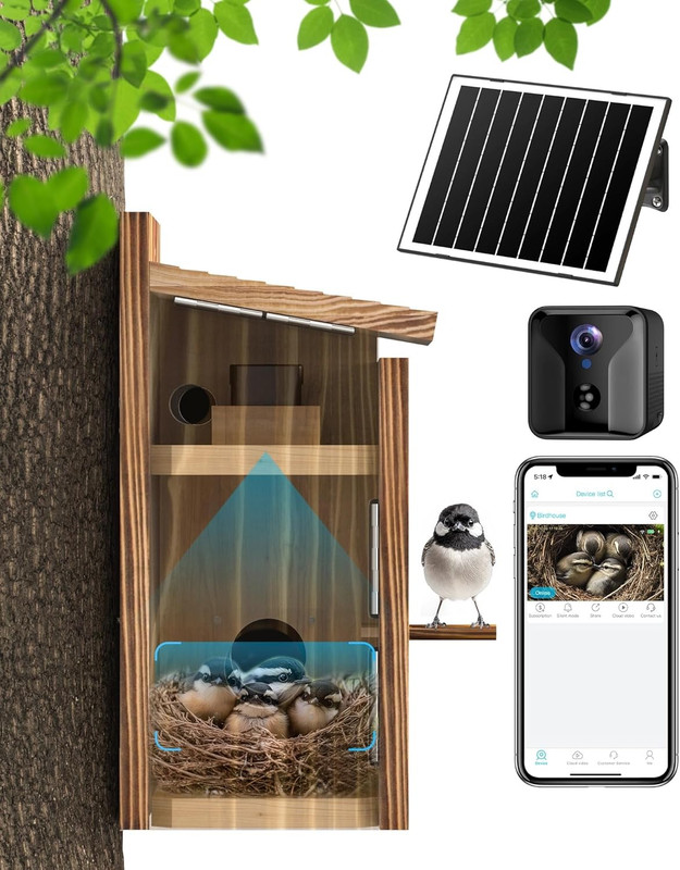 Solar-Powered Bird House with 2K HD Camera & Night Vision, Wi-Fi Enabled