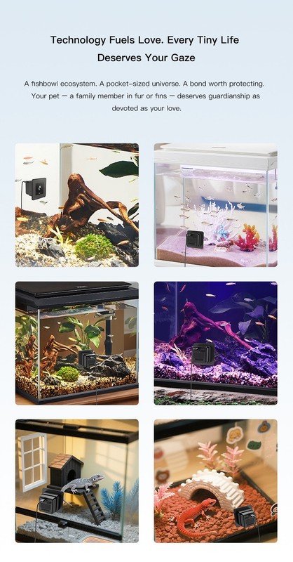 Fish Tank WiFi Camera 2-Way Audio Motion Detection Pet Monitor Security Cam gallery