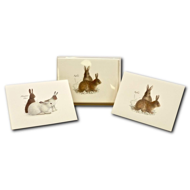 Rabbit Hare Assortment Notecard Set 8 Blank Cards Envelopes Greeting Card gallery