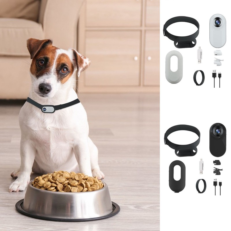 With Video Records Cat Camera Collar No WiFi Needed Pet Sport Action Camera gallery