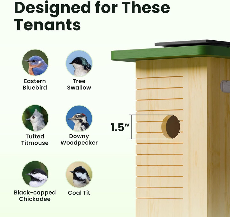 Smart Bird House with Camera Solar Powered, 1080HD Live Video & Night Vision for gallery