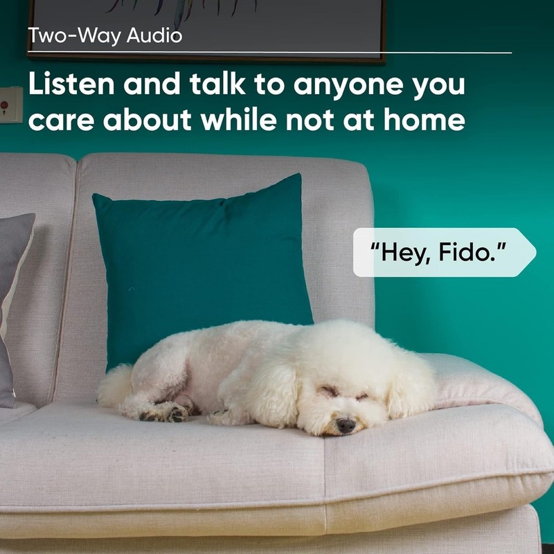 Wired Security Camera with Color Night Vision & Local Recording - Pet Friendly gallery