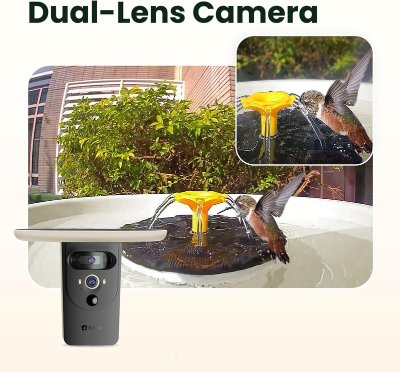 Birdfy Smart Bird Bath with Camera Solar Powered & Solar Fountain & Stand, Du... gallery