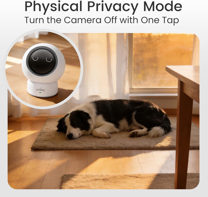 2.5K Indoor Pet Security Camera, Two-Way Audio Chat to Your Pets, AI Pet/Human D gallery