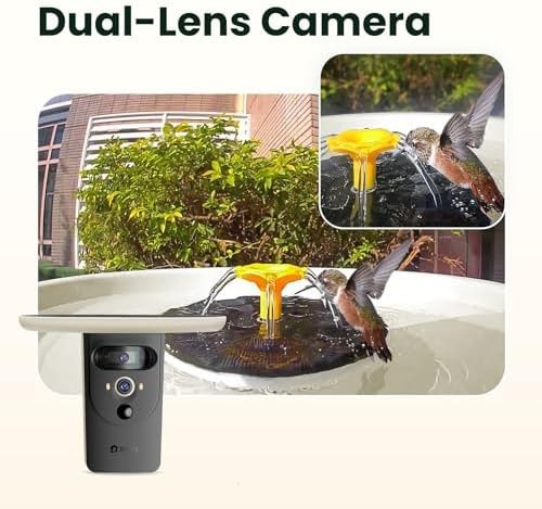 Birdfy Smart Bird Bath with Camera Solar Powered & Solar Fountain & Stand, Du... gallery