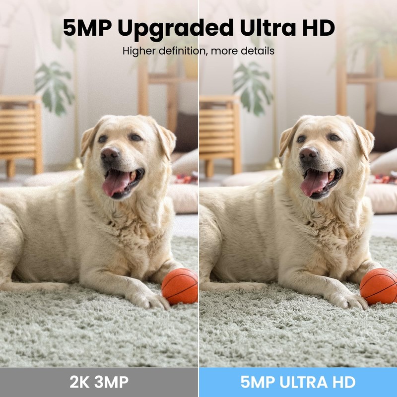 Indoor/Baby/Pet with App, 5G&2.4G Wi-Fi, Q5 5MP gallery