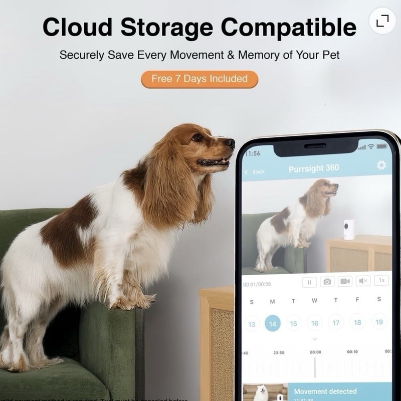 Instachew HD Camera 3 MP, Purrsight Mini 5G, Smart Pet Camera gallery