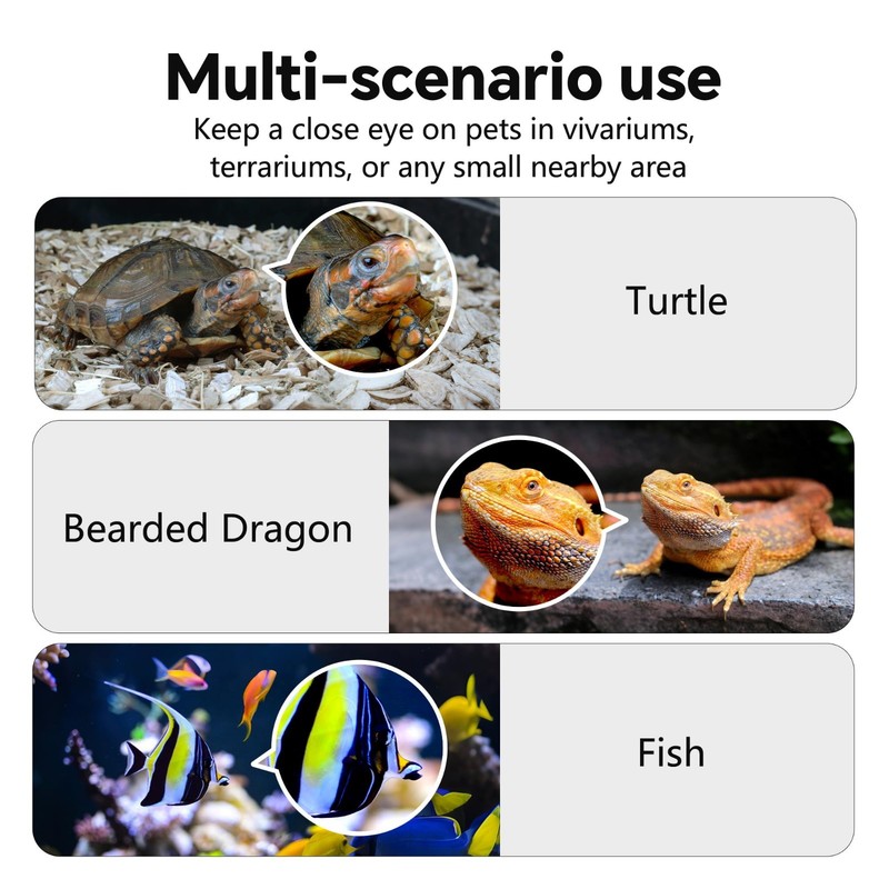 2K AI Reptile Aquarium Camera with Close-Focus Lens for Fish Tank & Terrarium gallery
