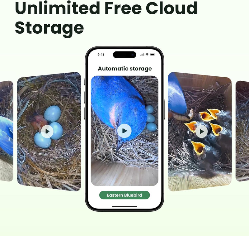 Smart Bird House with Camera Solar Powered, 1080HD Live Video & Night Vision for gallery