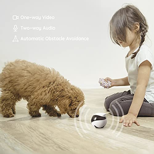 Pet Monitoring Robot Enabot EBO SE 1080P Movable Camera gallery