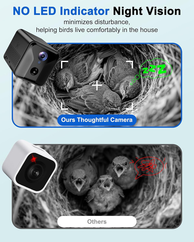 Smart Bird House with Camera Solar Powered,Isolated Camera Bay & Bird-Safe Varni gallery