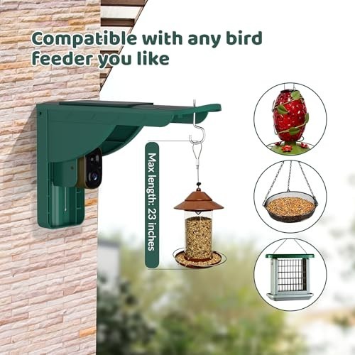 Solar Bird Watching Camera with AI Identification, 2K HD Live View & Alerts - Pe gallery