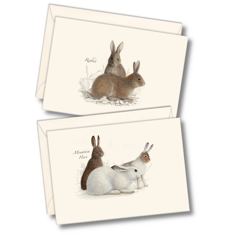 8 PCS Rabbit And Hare Assortment Notecard Set Blank Cards With Envelopes